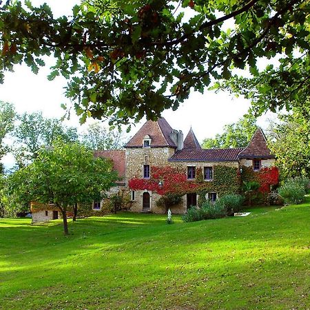 Le Manoir Du Rocher Domme Esterno foto