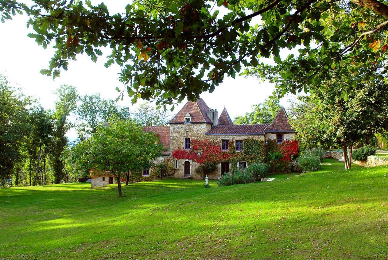 Le Manoir Du Rocher Domme Esterno foto