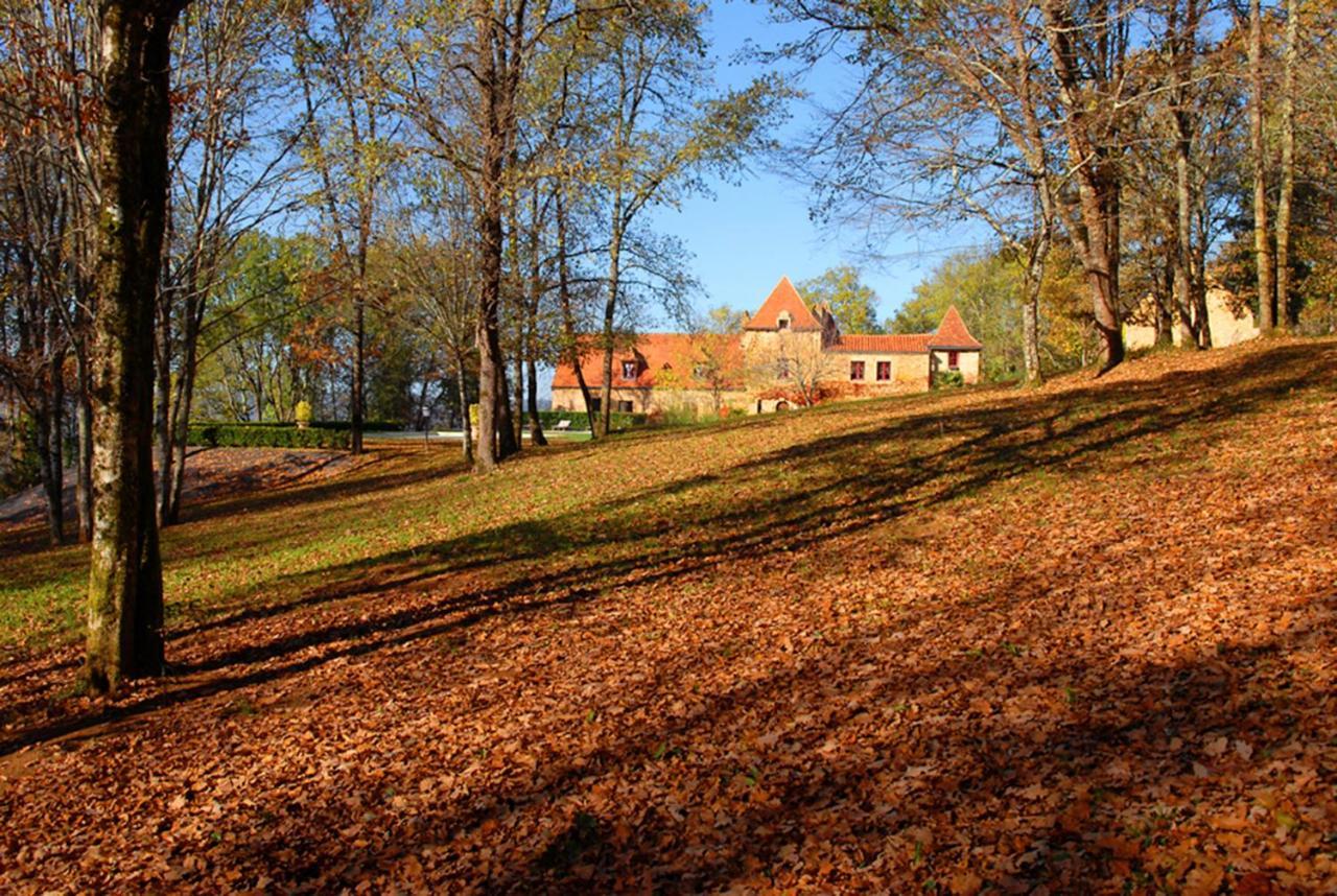 Le Manoir Du Rocher Domme Esterno foto