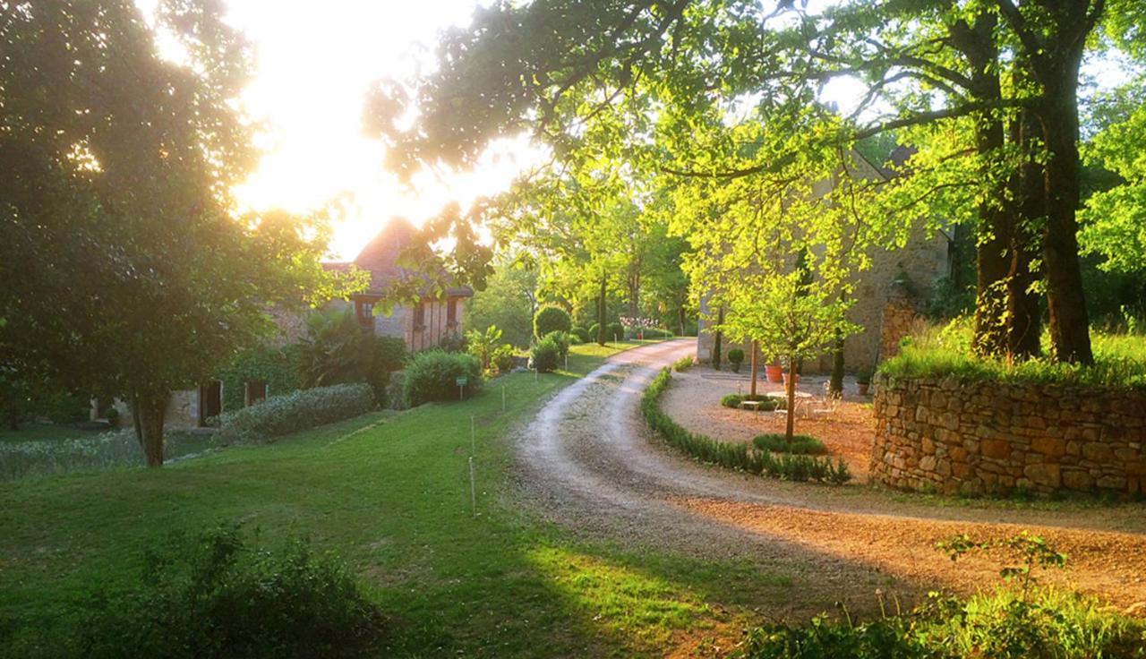 Le Manoir Du Rocher Domme Esterno foto